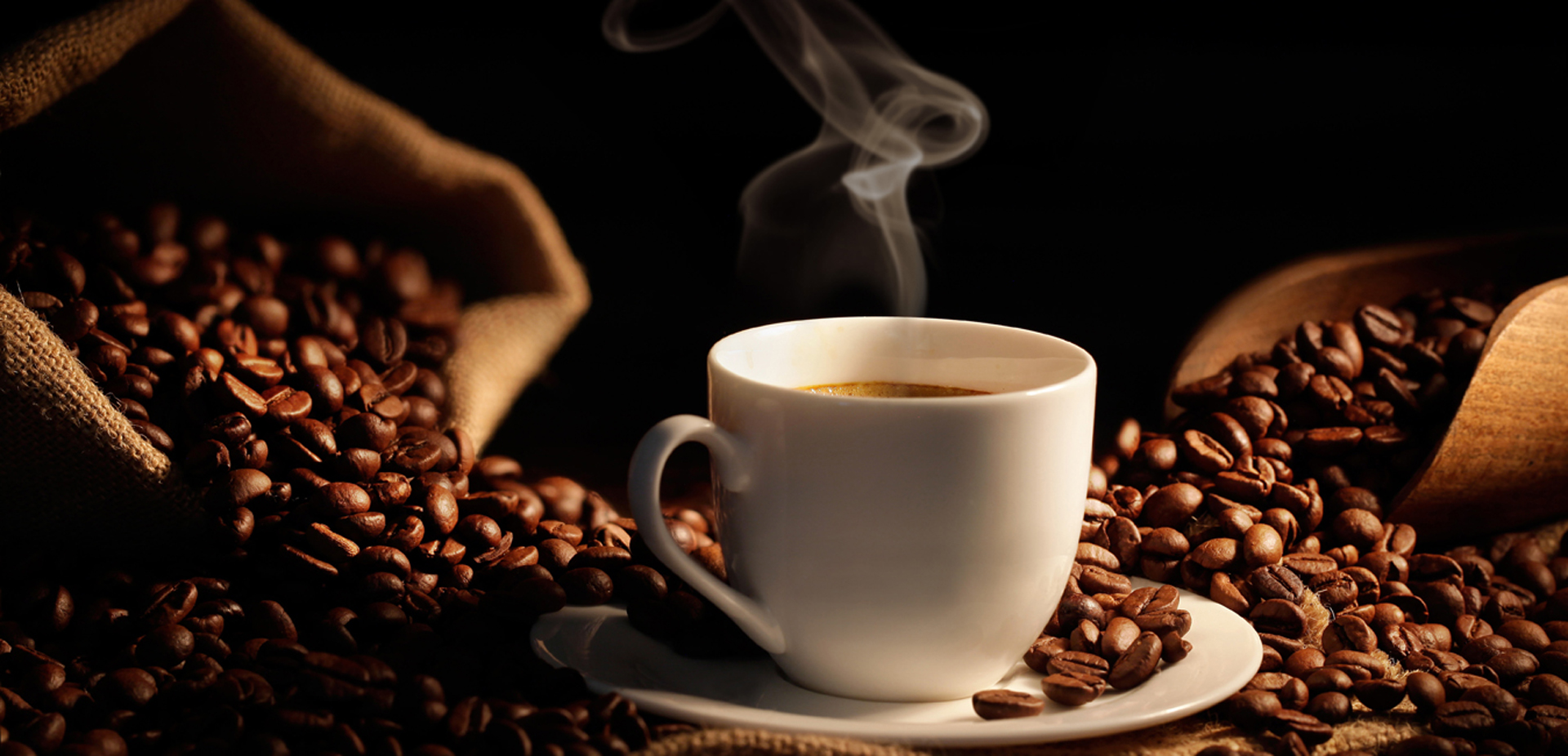 Bienvenue sur la Démo Best Shop